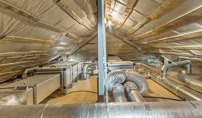 Attic & Crawl Space Restoration