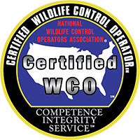 CWCO CWCO