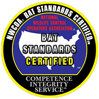 NWCOA Bat NWCOA Bat