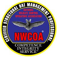 NWCOA Structural Bat NWCOA Structural Bat